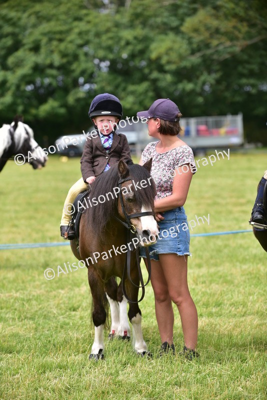 20260614-3719 - Class 15 - Prettiest Mare
