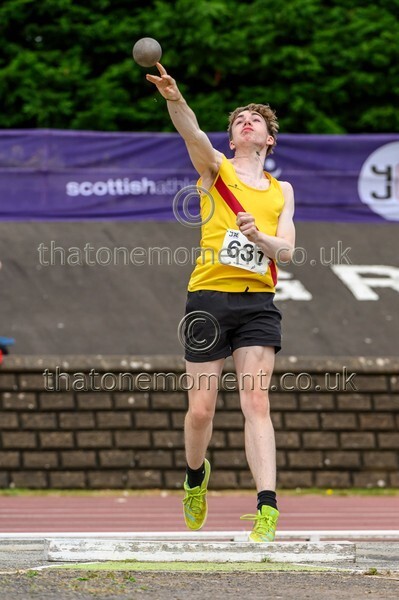 Sen25SAT-921404 - Field Male Set Two