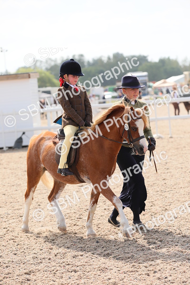 SBM_14069 - Class 309 Lead Rein Pony