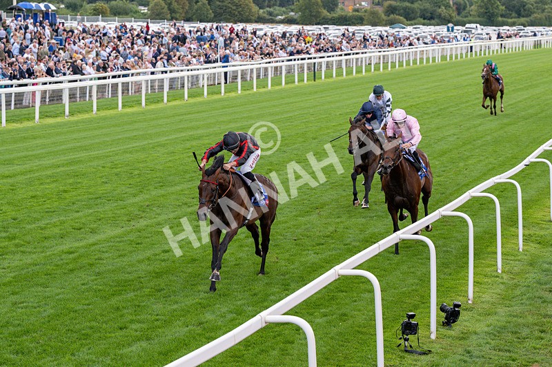 190826-Race 3-Maltese Cross-0340 - Race 3 15.00pm Sky Bet Great Voltigeur Stakes