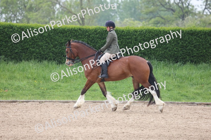 20260504-1117 - Class 14 - Cob and Hunter