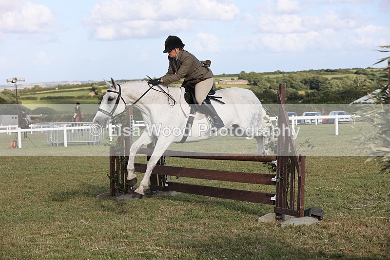 JPP_3393 - Class 22: Working Hunter 90cm