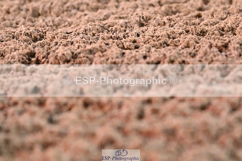231105-172346-04247 - Cls 4 Novice 24 16.41 to End