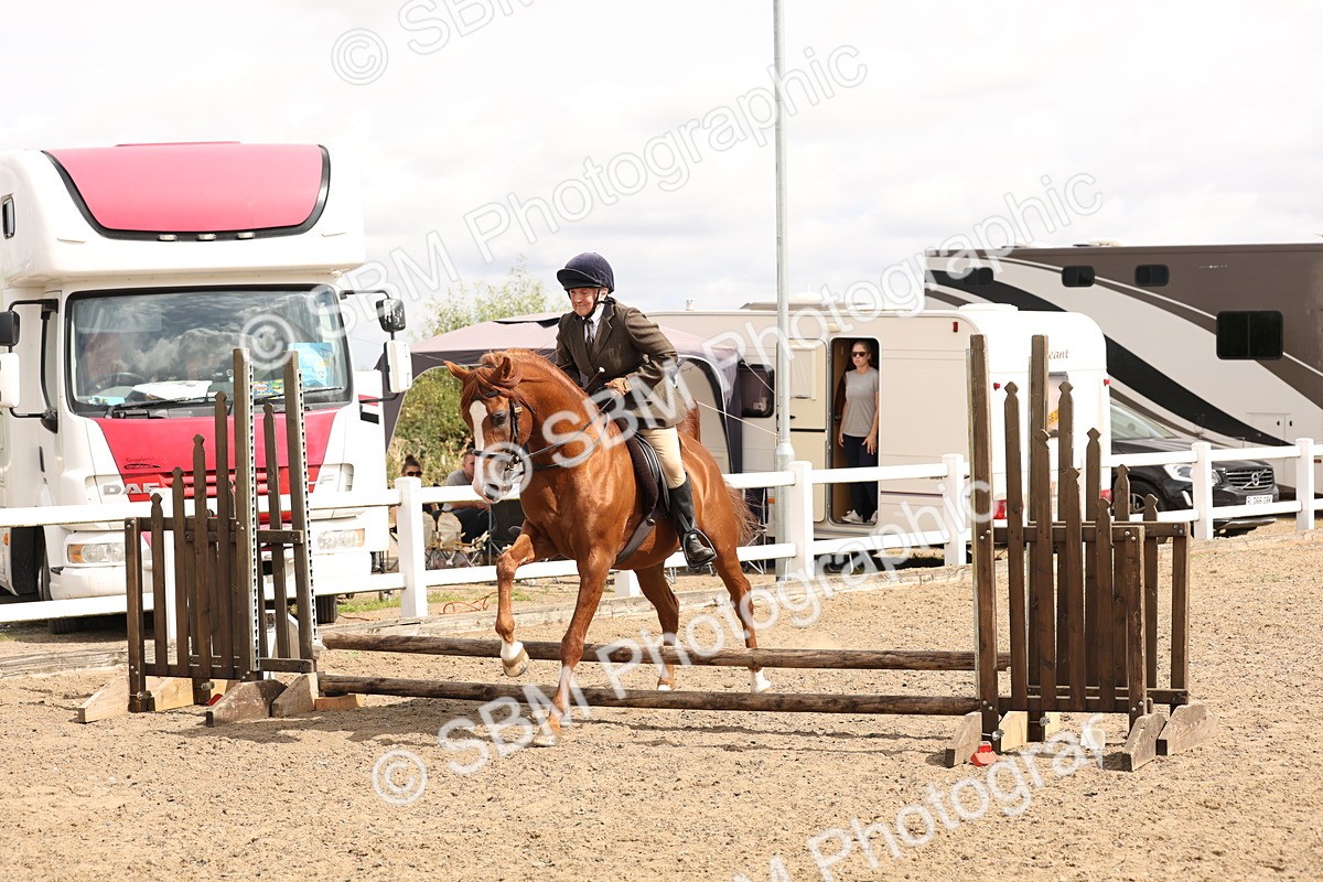 SBM_05217 - Class 56b -  Style & Performance - 50cm (20+)