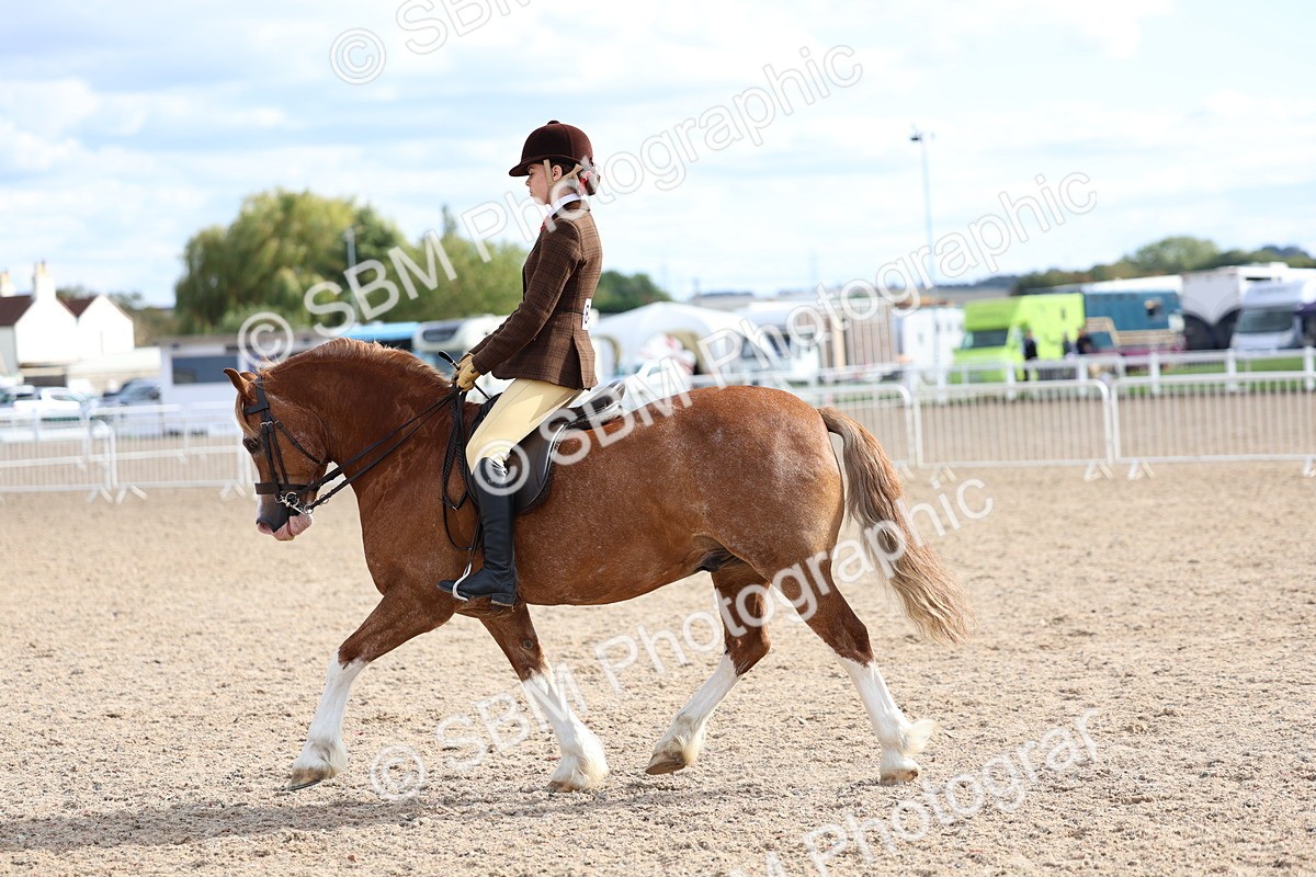 SBM_17583 - Class 316 - Best Pony - Rider Combination