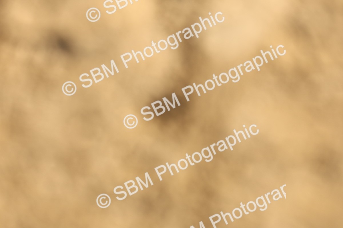 SBM_002461 - Class 51 - Elementary 1