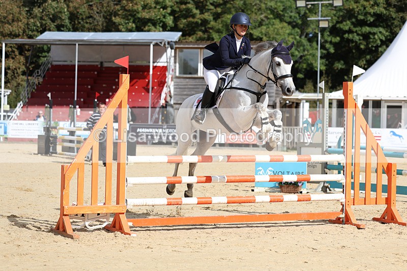 3E7A1958 - Class 4: Senior British Novice/90cm open