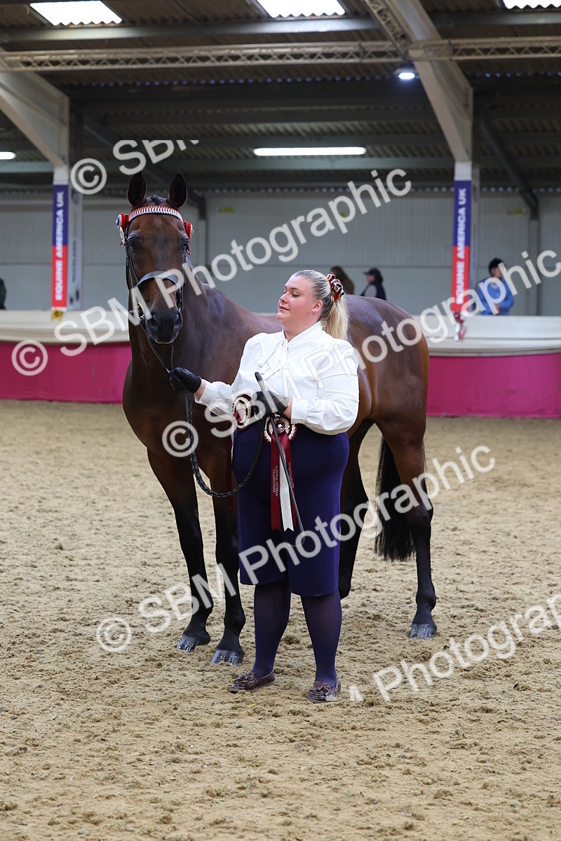 SBM_21204 - Class 902 - Supreme Final IH Veteran