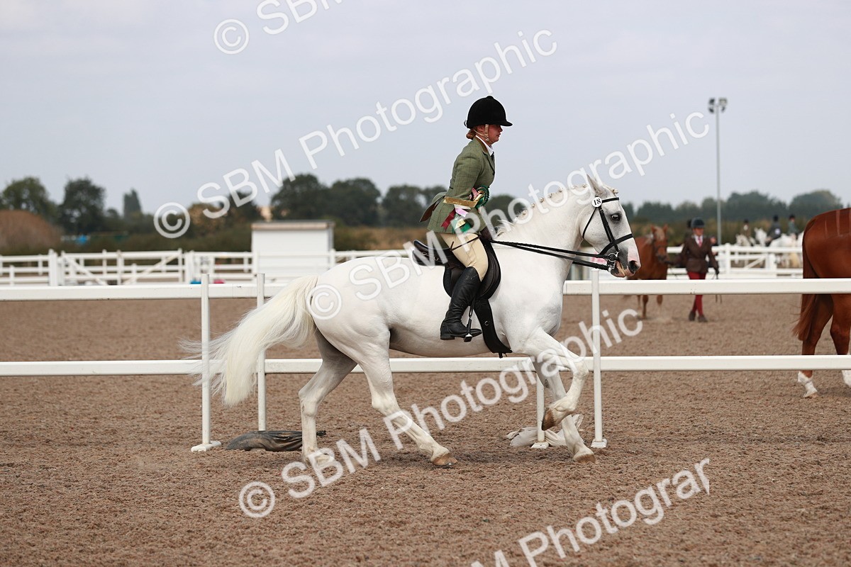 SBM_14945 - Class 212 Ridden Hunter - Small