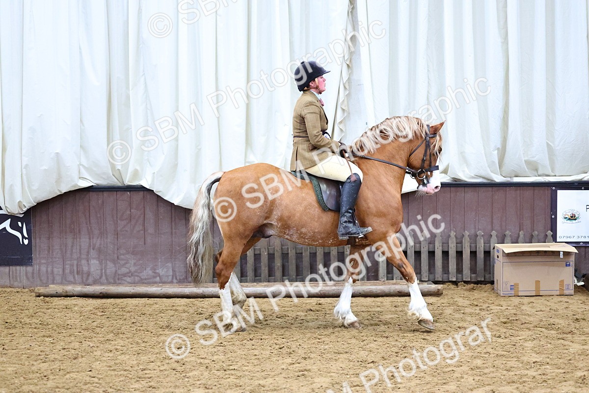 SBM_005135 - Class 41 - Not exceeding 143cms