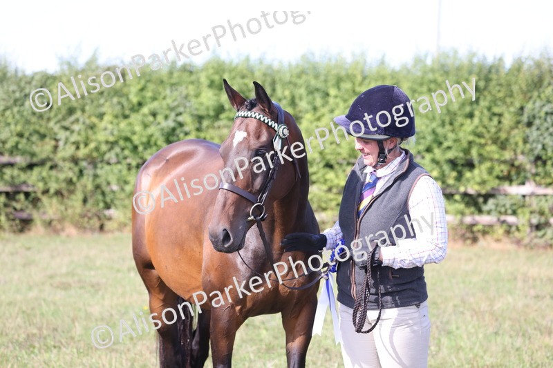 20260906-0723 - Class 22 - Ex Racehorse