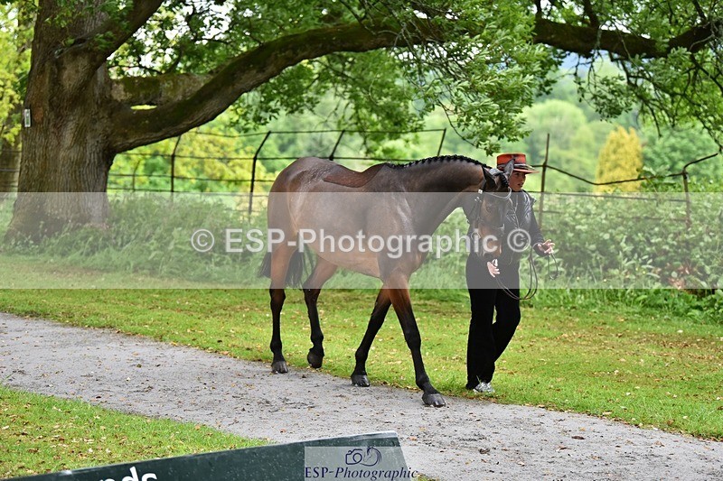 240522-155208-00541 - 164-MOONLIT_SWAYZE-Daisy_Bathe