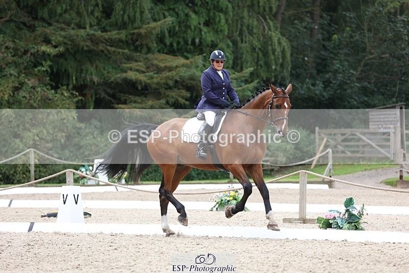 230812-120830-03936 - Cls 5 Novice Bronze 11.15 to 12.50 break