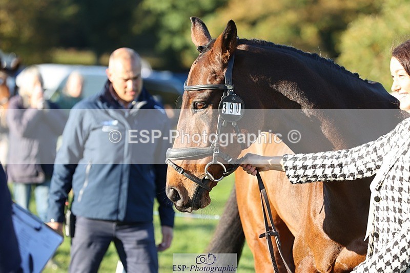 241027-083349-14662 - 390-Pippa.Howell-Phippard-NO.LIMIT.II