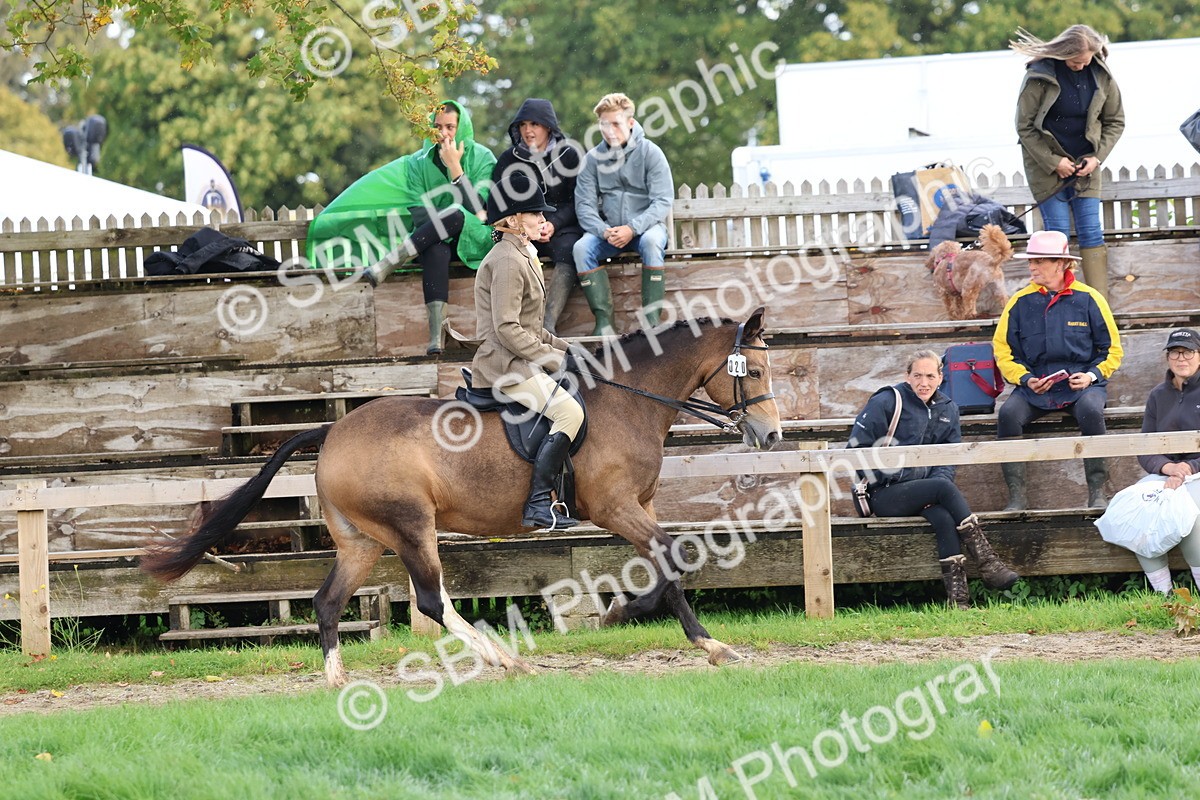 SBM_47641 - S28 - Veteran Ridden