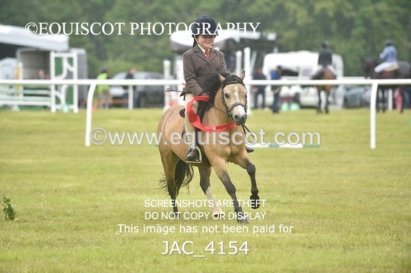 JAC_4154 - 40CM WORKING HUNTER