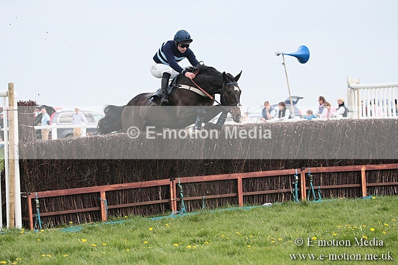 PtP 210418 188 - South & West Wilts Point-to-Point Larkhill 21/04/18