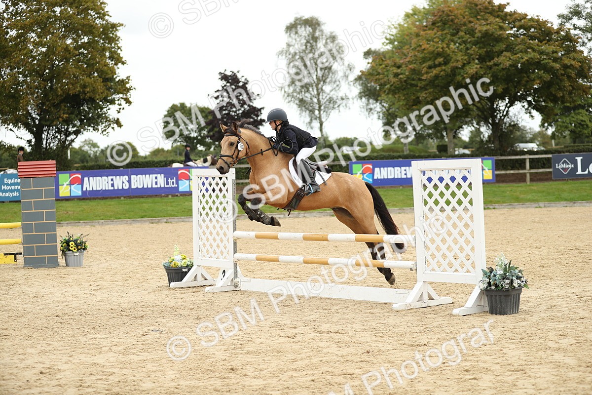 SBM_63123 - Supreme championship 75cm 80cm