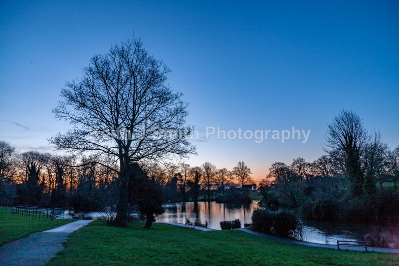 0SKJ1937 - Trees in Abington Park