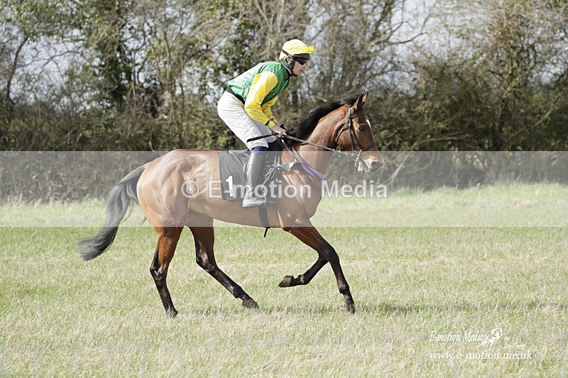 PtP 180323 285 - Shelfield Park Races with Croome & West Warwickshire Hunt  18/03/23