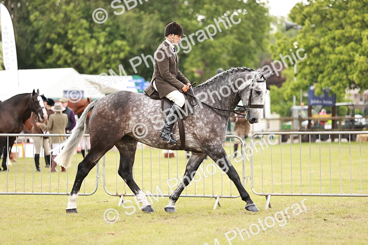 SBM_10912 - Class 81-84 - RIHS Ridden hunters Inc Ladies Hunter