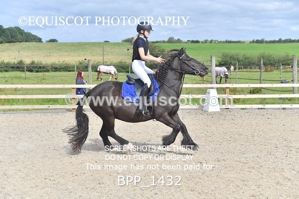 BPP_1432 - DERBY CLASS 2 - 30CM