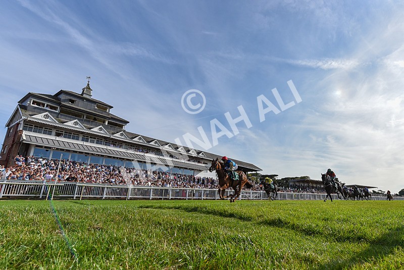 140826-Race 1-Final Objective-5323 - Race 1 17.33pm Ray And Eileen Mclean Memorial EBF Maiden Stakes