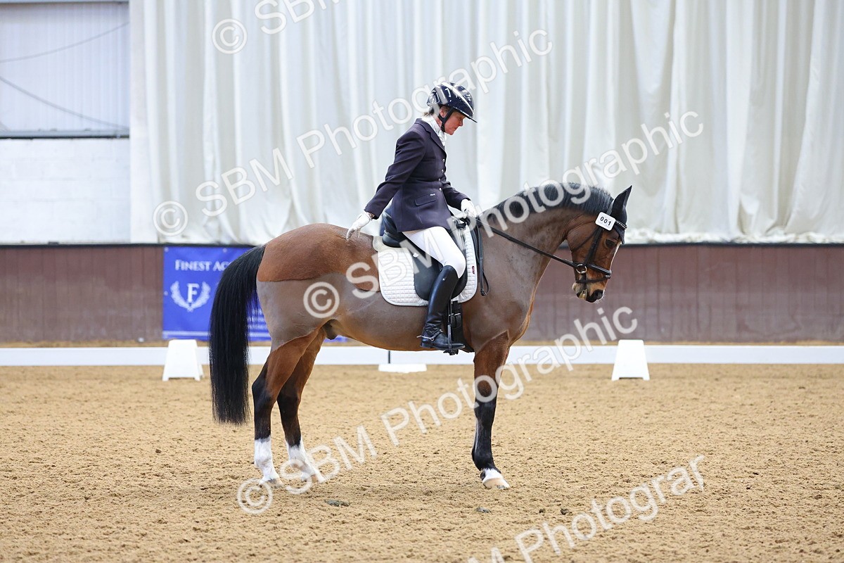 1I0A8774 - Class 4 - Novice 4