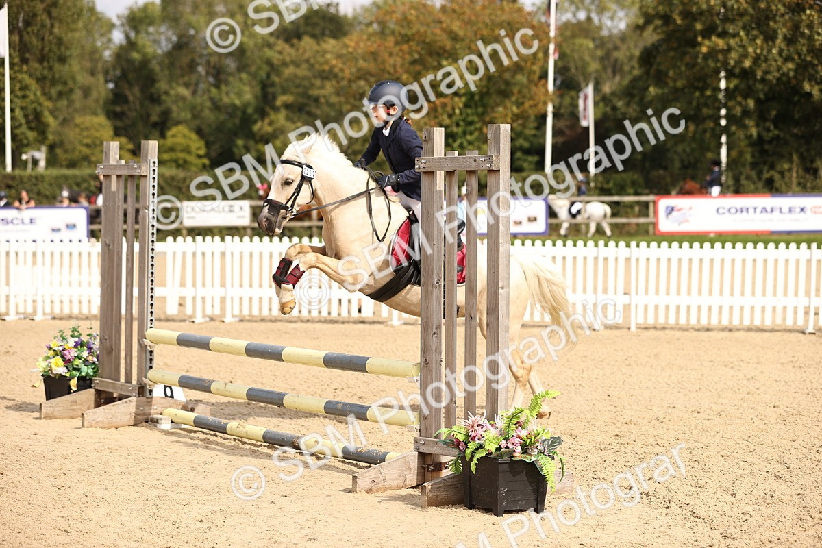 SBM_69585 - J13 - Junior Pony 60cm Championship