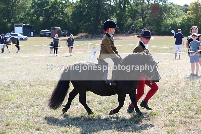 WJ6_7453 - Class 34 Judges Choice