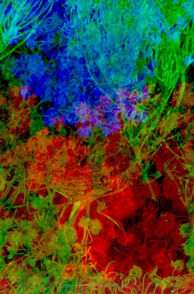 STILL LIFE-CYCLE - STILL LIFE-CYCLE I 2012