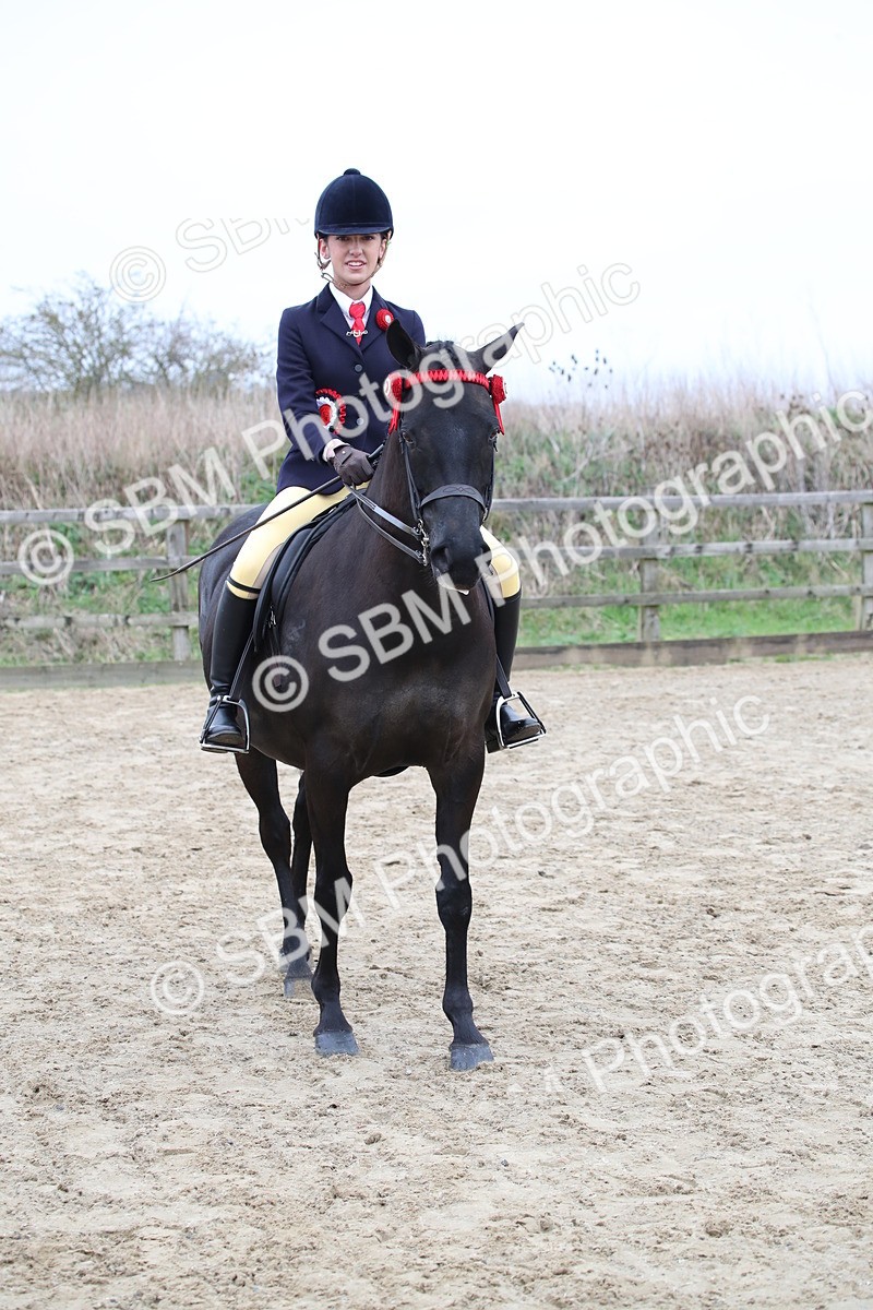 SBM_004721 - Class 5-9 - NPS In Hand-Show Hunter-Intermediate Ridden Inc Ridden Championship
