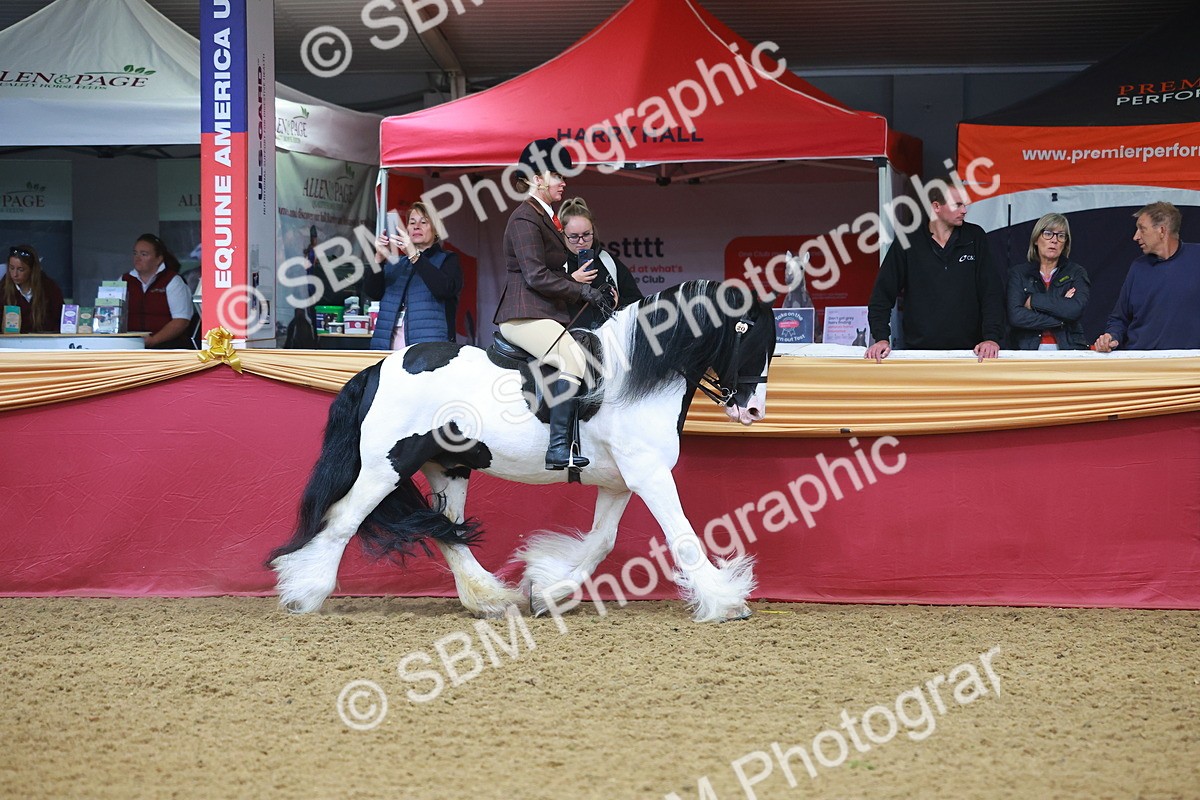 SBM_09619 - Class 102 - HOYS Veteran Qualifier - Ridden Veteran