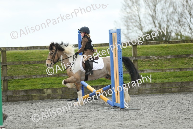 20260412-0637 - Show Jumping