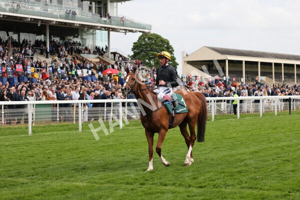 yr13052022r4-70 - Race 4 3.35pm The Paddy Power Yorkshire Cup (British Champions Series Race)