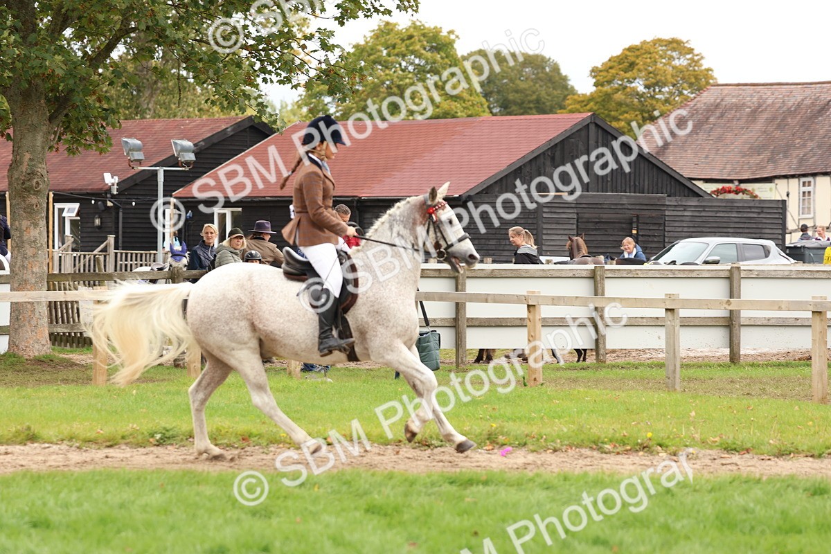 SBM_64443 - S58 - Coloured Pony Ridden