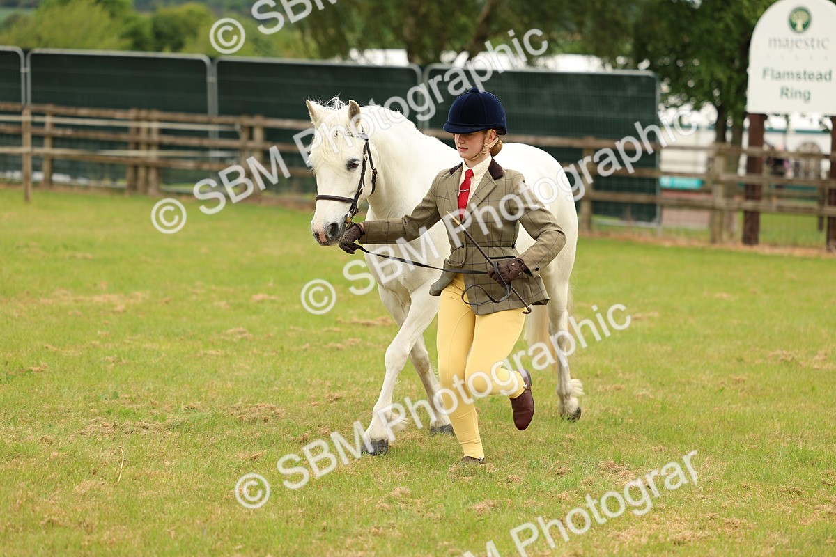 SBM_04214 - Class 64-67 - Shetland Pony In Hand