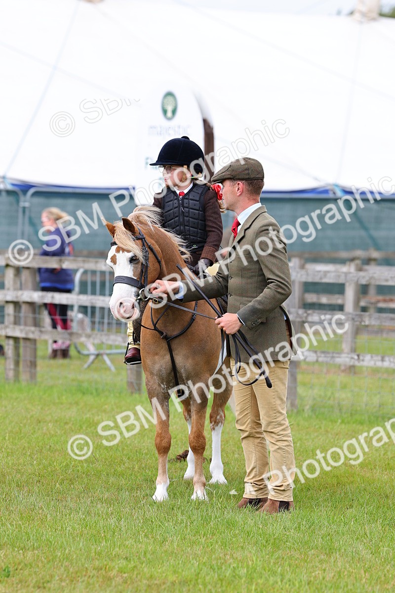 SBM_08171 - Class 42-43 - LIHS BSPS Heritage Working Sports Pony