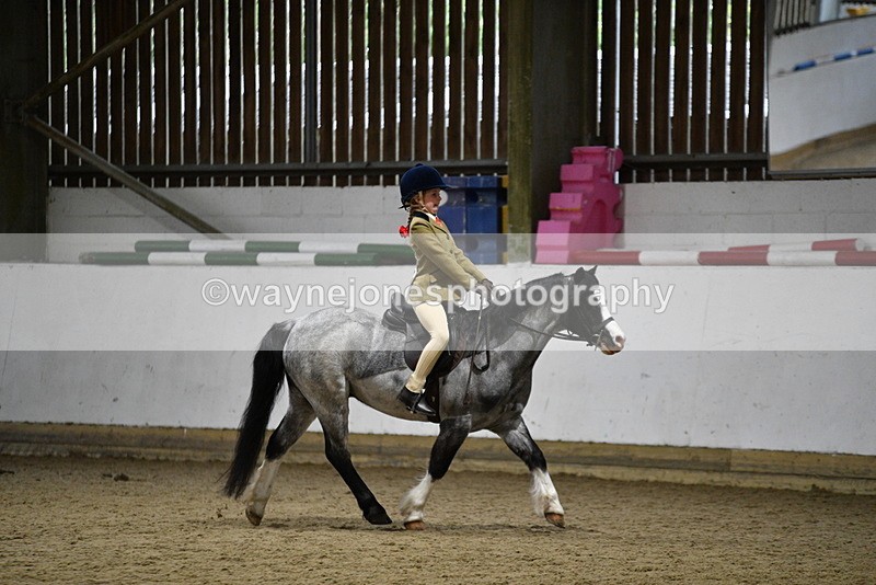 WJ5_8298 - Class 14 Novice Ridden/Rider