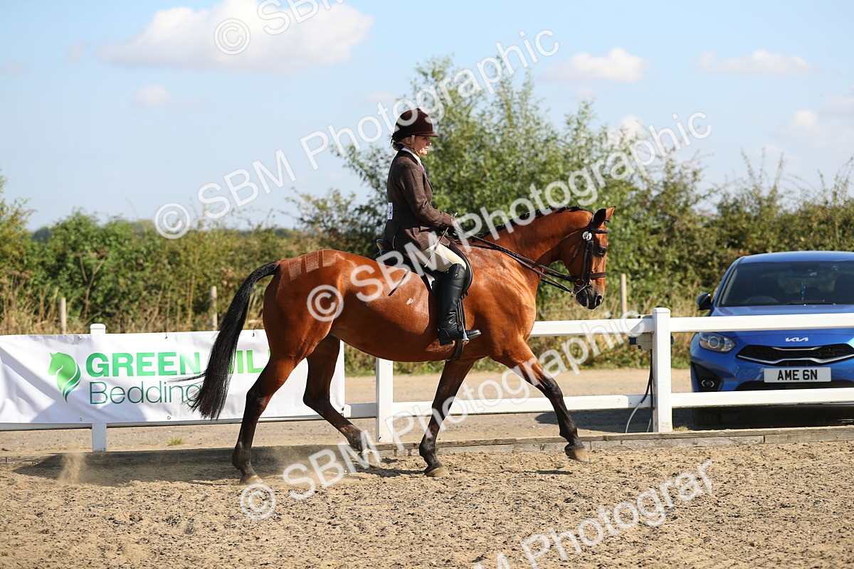 SBM_02202 - Class 43 Ridden Competition Horse/Pony