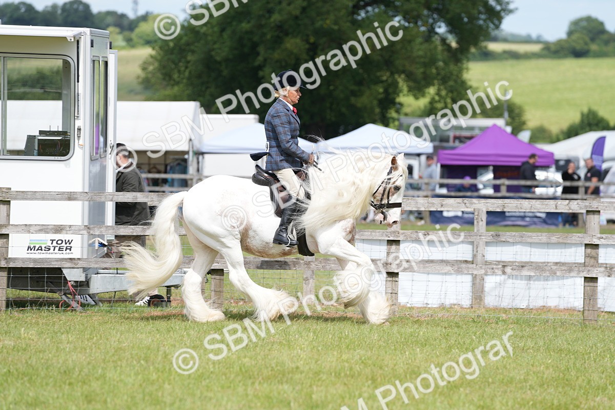 SBM_17177 - Class 107-108 - LIHS BSPS Performance Coloured Horse Pony