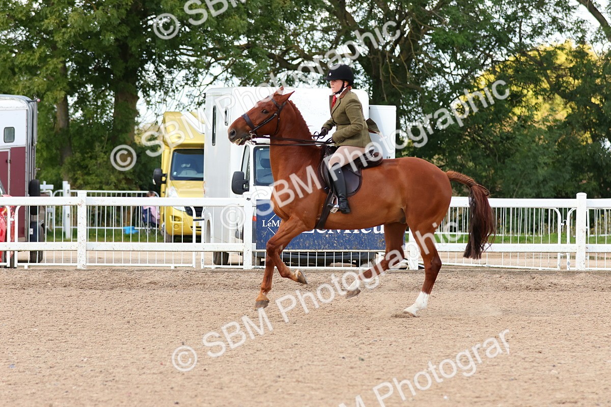 SBM_13205 - Class 211 - Ridden Hunter - Small