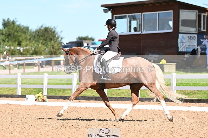 240816A-131623-05012 - 113-Ruby.Gumbley-Nova's.Golden.Dream