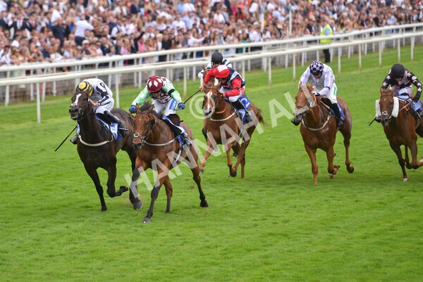 yr24072021r1-83 - Race 1 2.05pm Sky Bet Jump Jockeys Nunthorpe