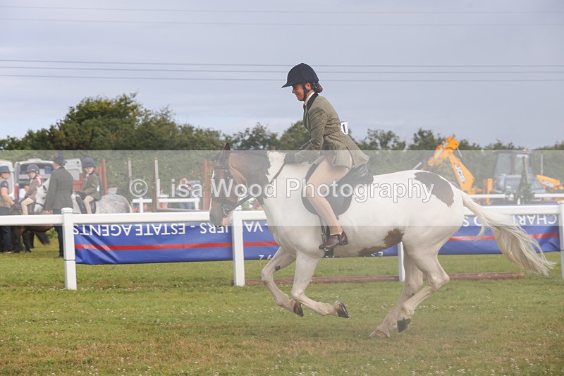 1X9A3053 - Class 26: Ridden Plaited Coloured Pony