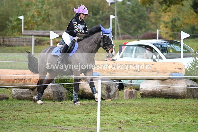 WJ6_1746 - 80cm Cam 1 Time 10:08 to 10:45