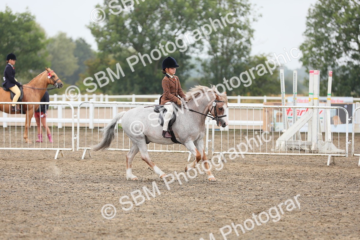 SBM_21822 - Class 806 - Young ridder 10 Yr & Under