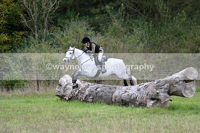 WJ7_3714 - Camera 1 Line 1