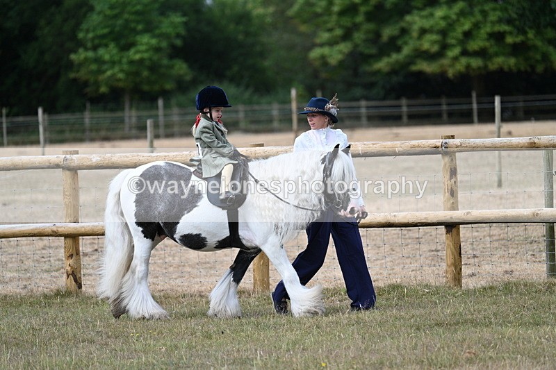WJ7_6336 - Class 1 Lead Rein Pony