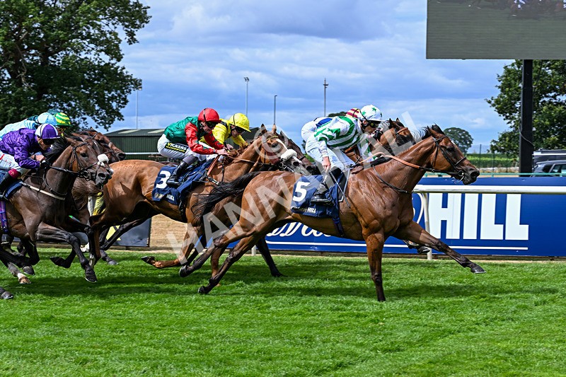 010826-Race 2-Witch Hunter-2276 - Race 2 14.08pm William Hill Summer Cup Handicap